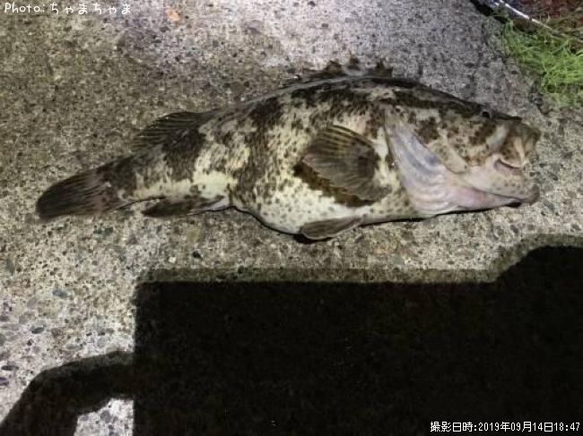 �����Υ���Х�