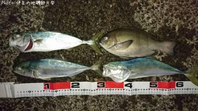 �����᥸��