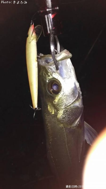 �����Х�