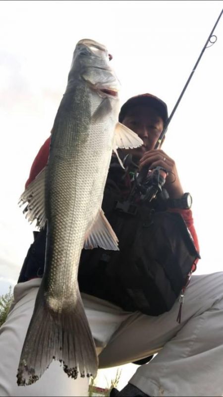 �����Х�