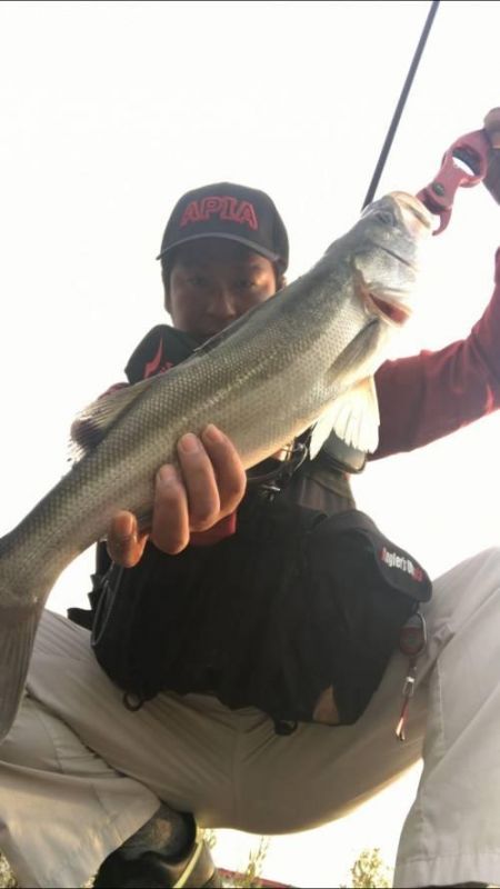 �����Х�