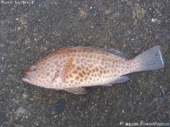 �������ϥ�