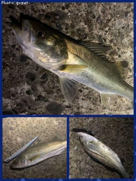 �����Х�