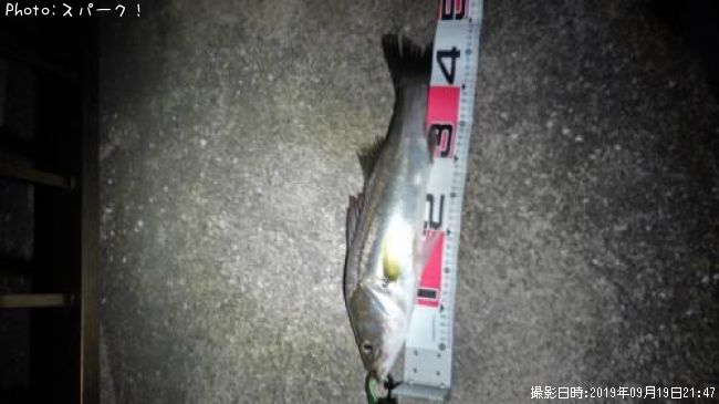 �����Х�