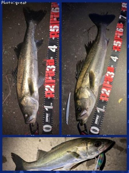 �����Х�