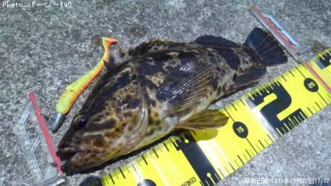 �����Υ���Х�