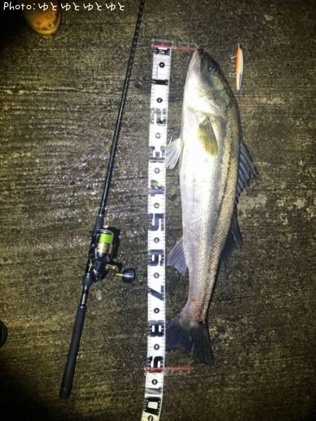 �����Х�