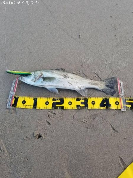 �����Х�