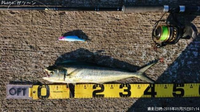 ������ʥڥ�ڥ��