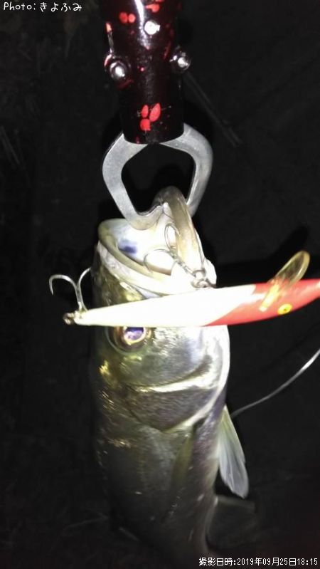 �����Х�