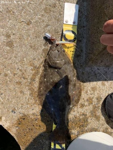 �ҥ��ʥ�����