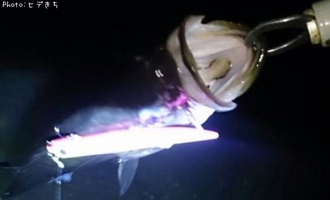 �����Х�