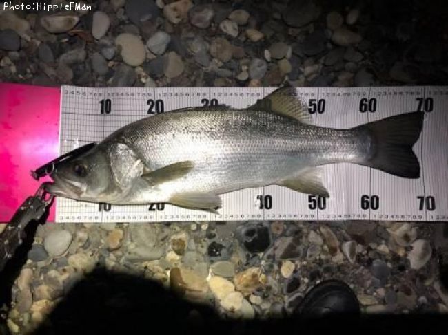 �ҥ饹����