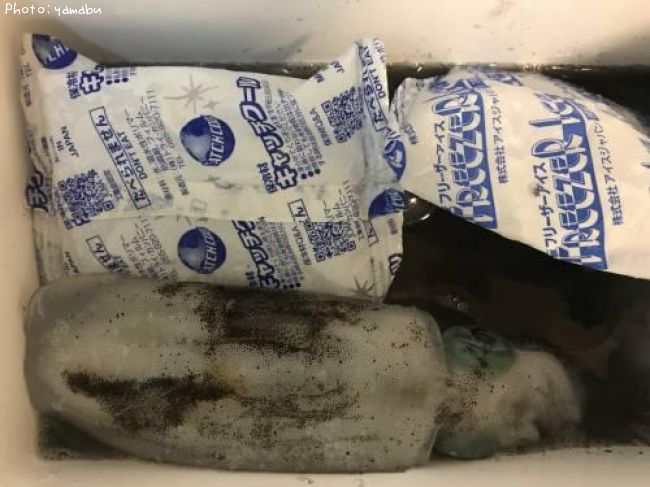 �����ꥤ��