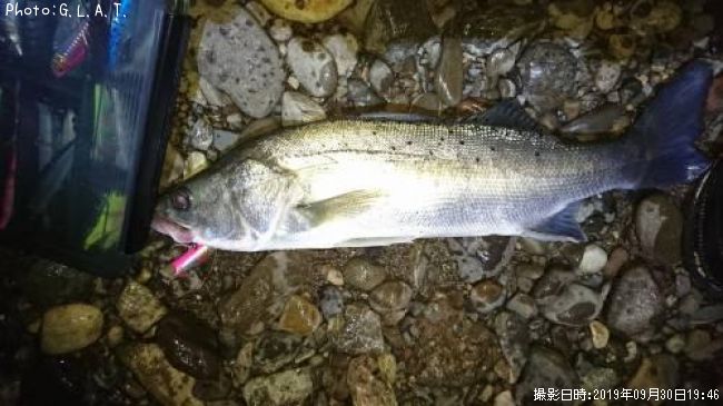 �����Х�