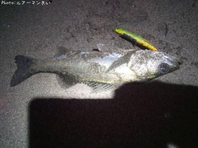 �����Х�