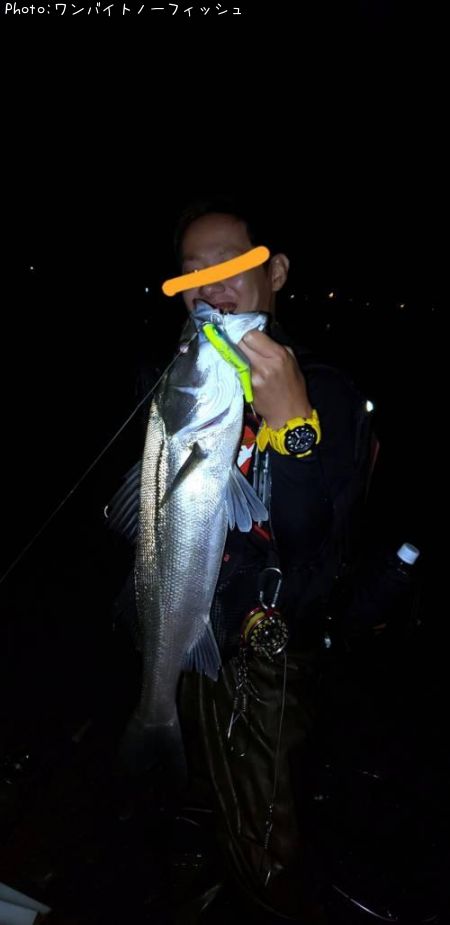 �����Х�