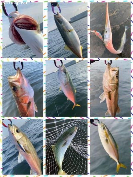 �����Х������ʥ�