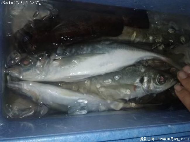 ��������Х�