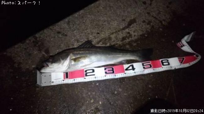 �����Х�