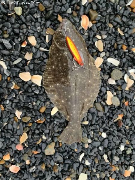 �ҥ��ʥ�����