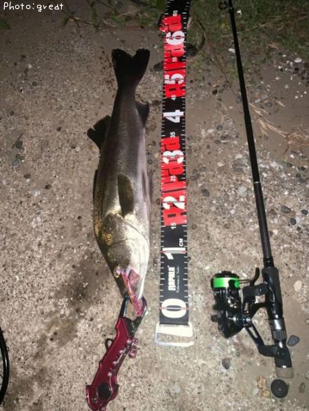 �����Х�