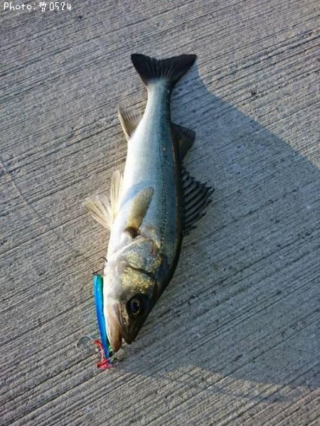 �����Х�