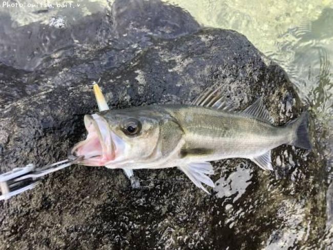 �����Х�