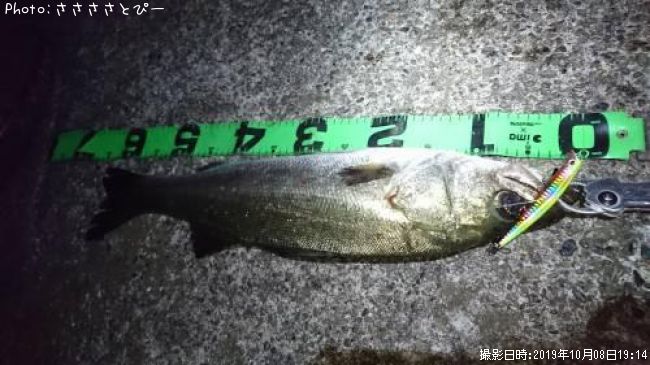 �����Х�