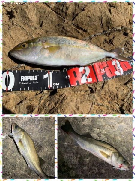 ���祴�������Х�