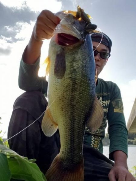 �֥�å��Х�