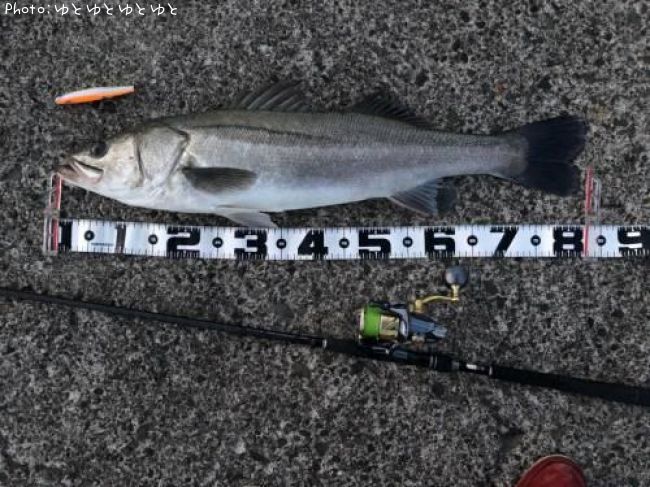 �����Х�