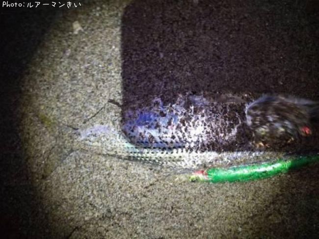 ���Υ���