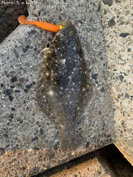 �ҥ��ʥ�����