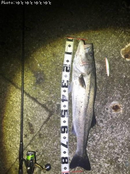 �����Х�