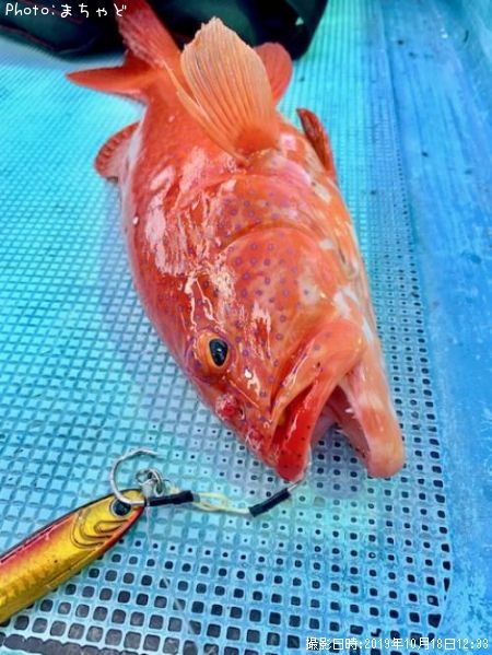 ��������ڥ��������