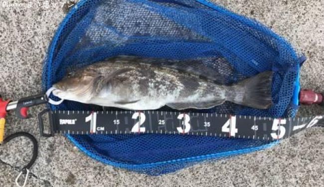 �����ʥ�