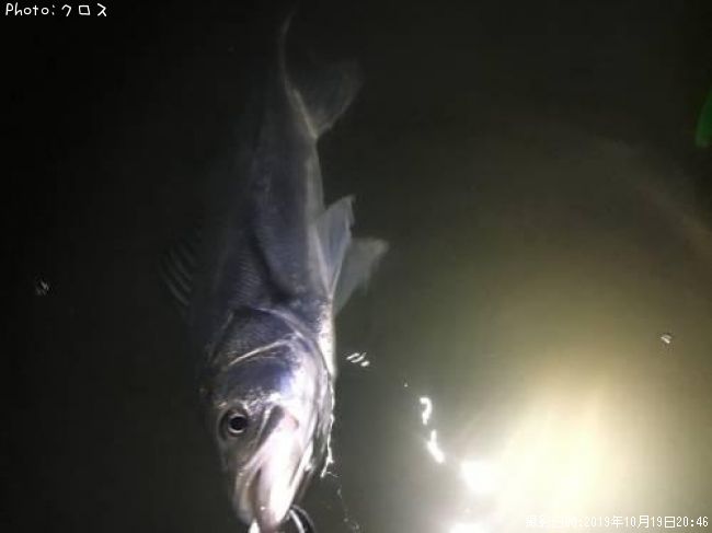 �����Х�