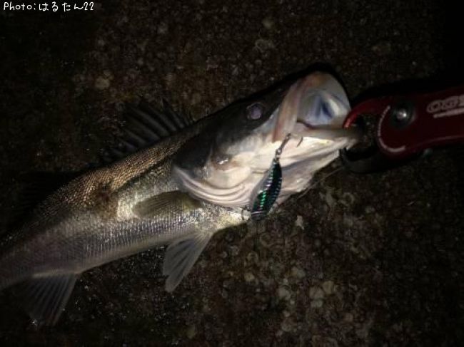 �����Х�