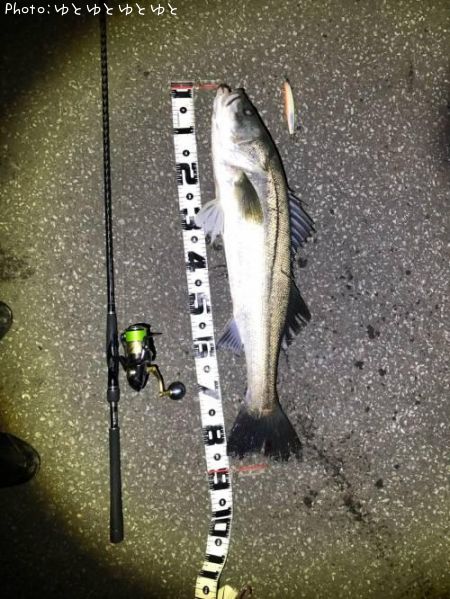 �����Х�