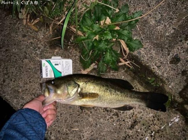 �֥�å��Х�