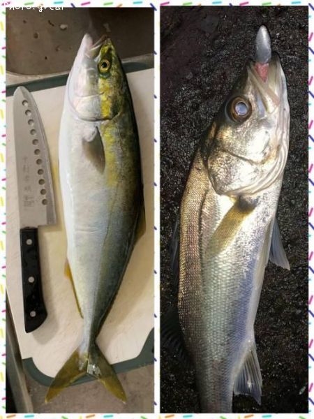 �����Х������ʥ�