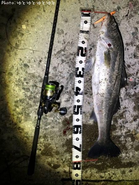 �����Х�