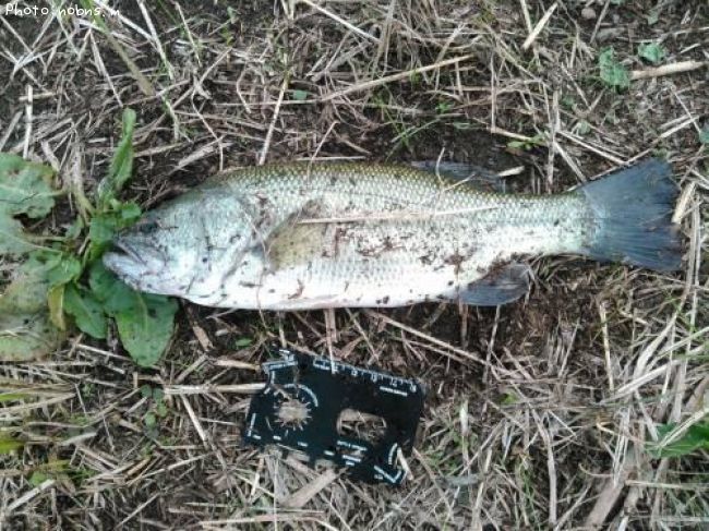 �֥�å��Х�