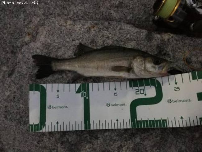 �����Х�