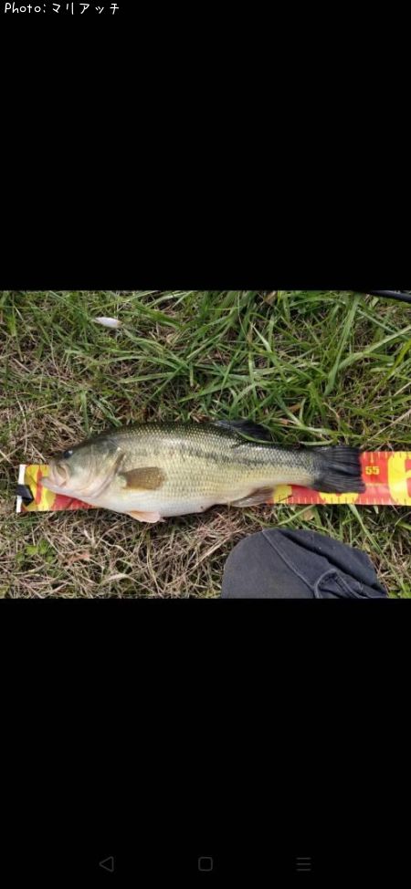 �֥�å��Х�