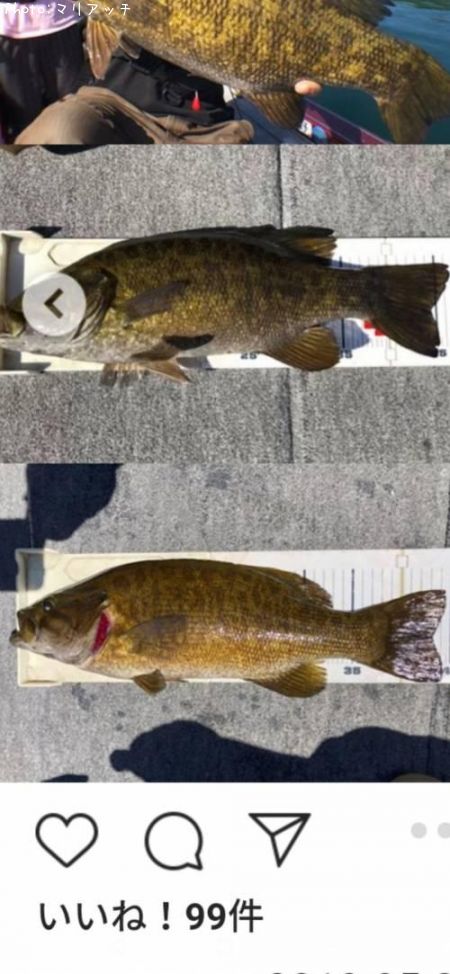 �֥�å��Х�