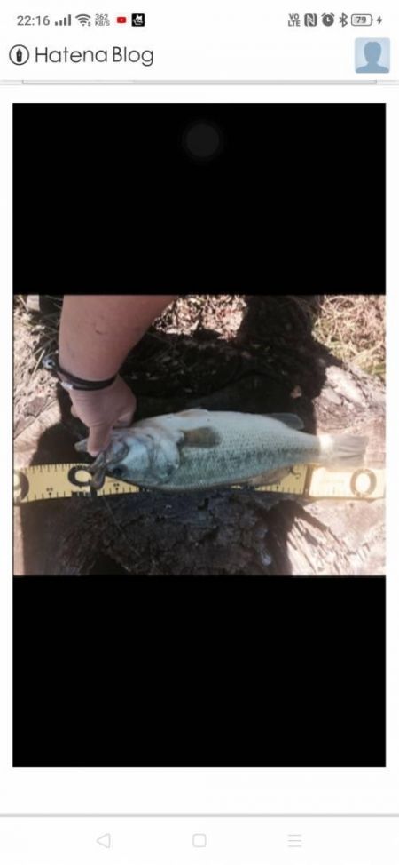 �֥�å��Х�