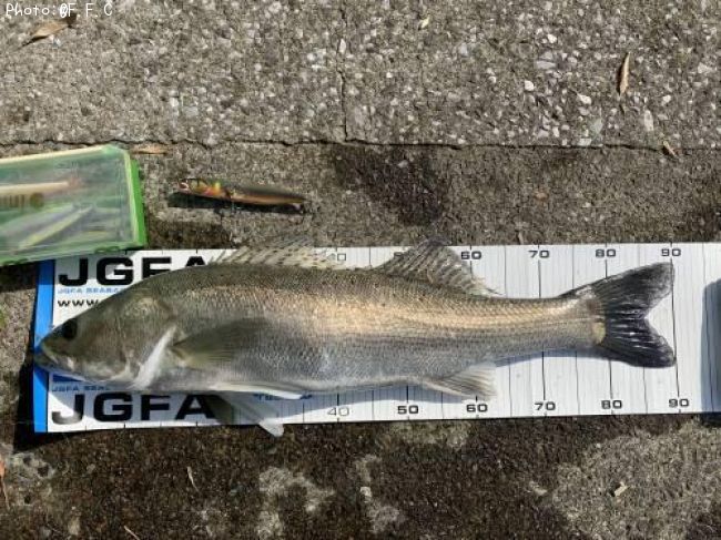 �����Х�