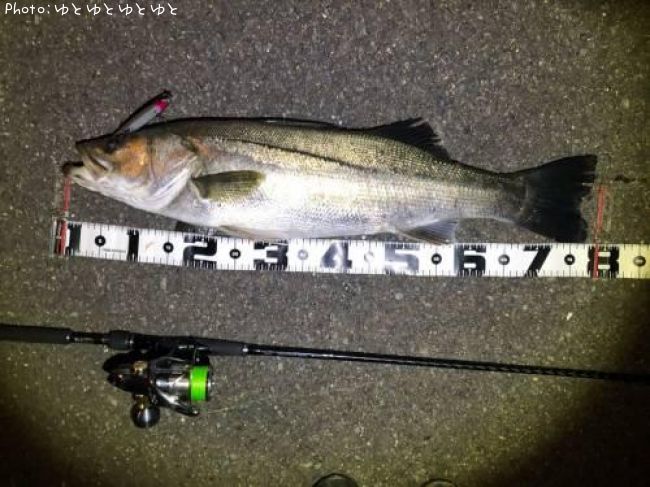 �����Х�